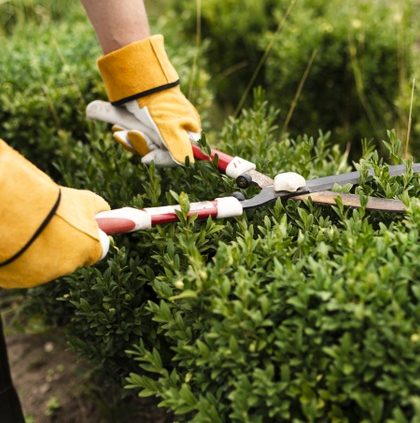 persona-primer-plano-herramienta-recorte-bush_23-2148256665